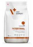 4T Veterinary Diet Cat Intestinal 2 kg