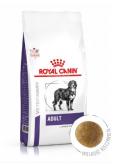 Royal Canin Adult Large Dog 13 kg